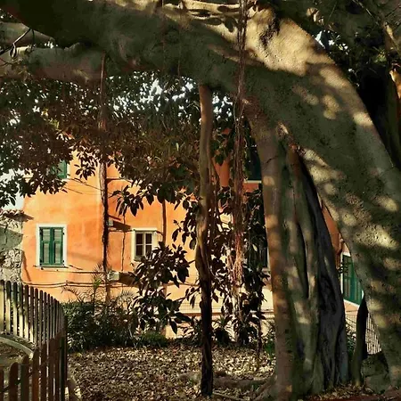 Casa Thomas *